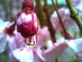 20100406230410