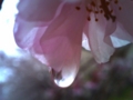 20100406230411