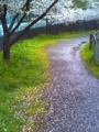 20100406230416