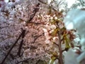 20100406230417