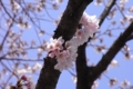 20100406231247
