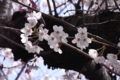 20100406231249