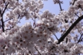 20100406231250