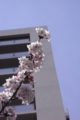 20100406231252
