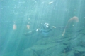 20100528222317