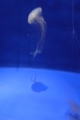 20100528222319