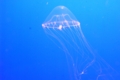 20100528222320