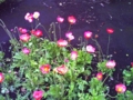 20100627234735