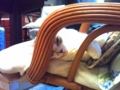 20100627234907