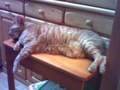 20100627234910