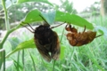 20100725100906