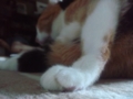 20100822200601