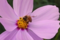 20101016142516