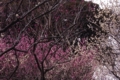 20110220230425