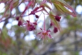 20110421184512