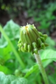 20110429193720