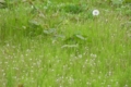 20110429193722