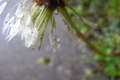 20110507164000