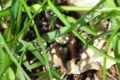 20110512195123