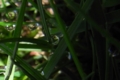 20110512195716