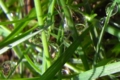 20110512200333