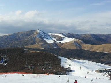 20120102_Shirakabako