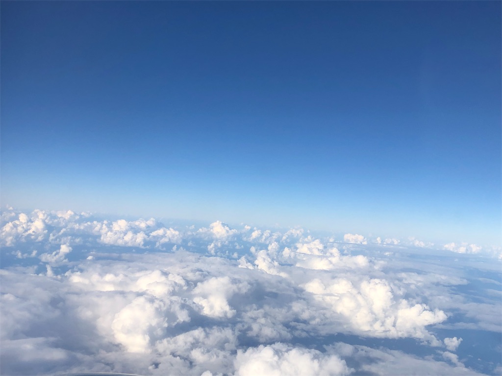 f:id:ss17935:20190209174346j:image f:id:ss17935:20190209174346j:image