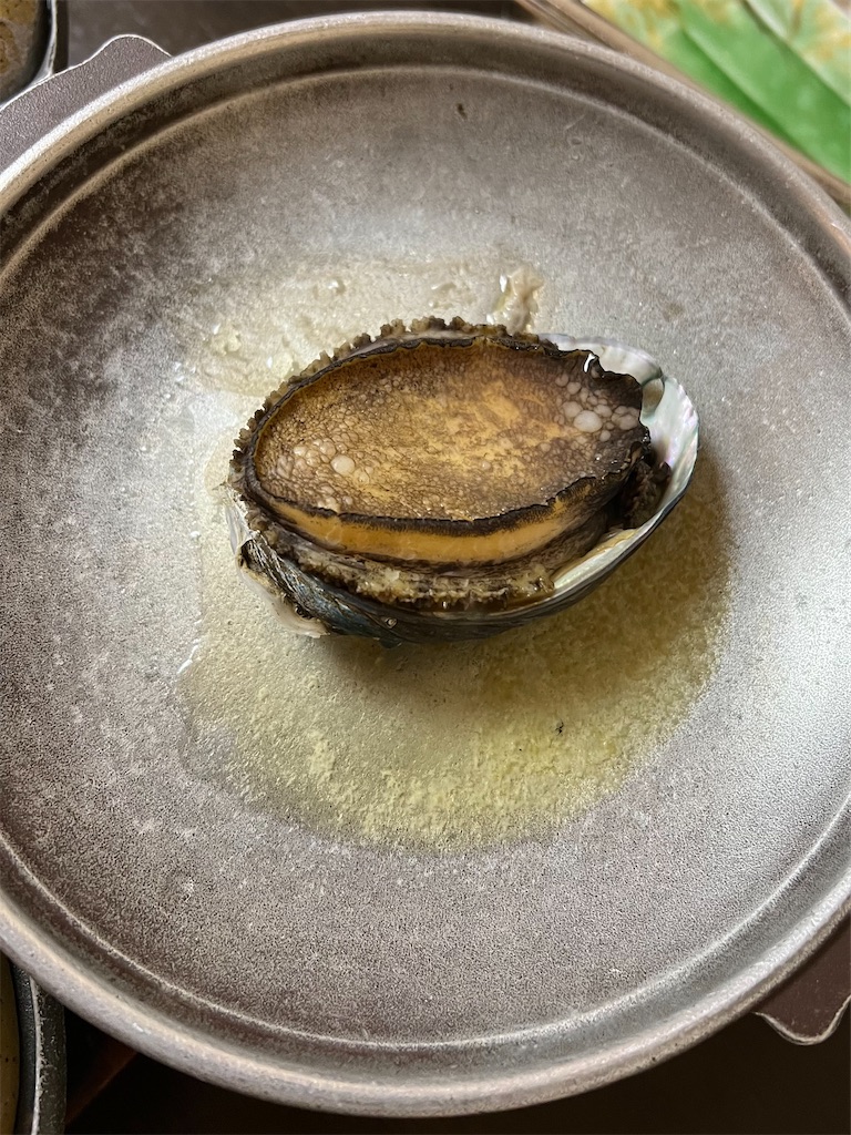 f:id:ss17935:20230815104538j:image