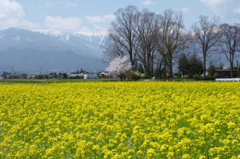 f:id:ss356745:20120425151413j:image f:id:ss356745:20120425151413j:image