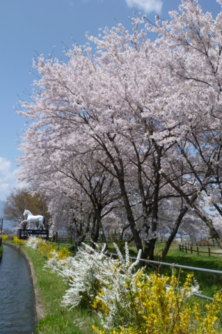 f:id:ss356745:20120425152044j:image f:id:ss356745:20120425152044j:image