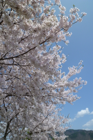 f:id:ss356745:20120425152246j:image f:id:ss356745:20120425152246j:image