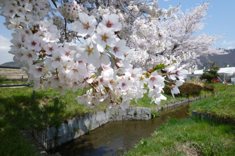 f:id:ss356745:20120425152251j:image f:id:ss356745:20120425152251j:image