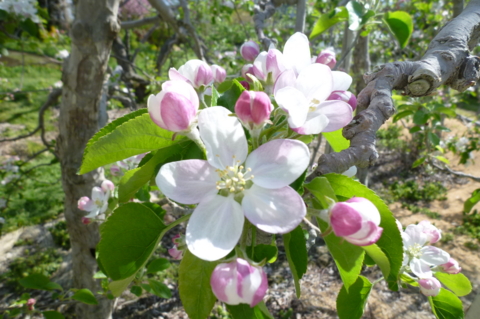 f:id:ss356745:20120506201354j:image f:id:ss356745:20120506201354j:image