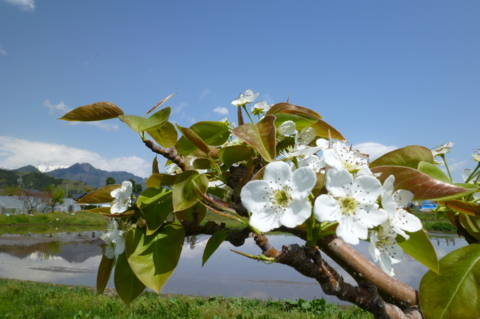 f:id:ss356745:20120506204813j:image f:id:ss356745:20120506204813j:image