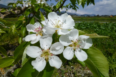 f:id:ss356745:20120506204818j:image f:id:ss356745:20120506204818j:image