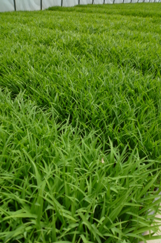 f:id:ss356745:20120511001541j:image f:id:ss356745:20120511001541j:image