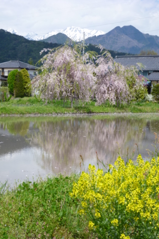 f:id:ss356745:20120511211829j:image f:id:ss356745:20120511211829j:image