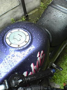 080531_1158~01.jpg