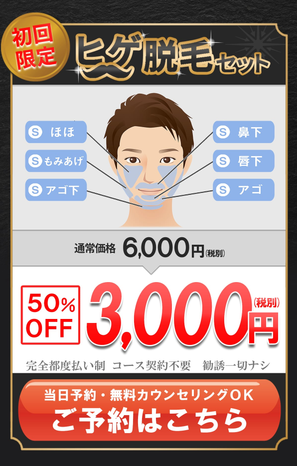 f:id:ss_arskem:20200811163012p:plain f:id:ss_arskem:20200811163012p:plain