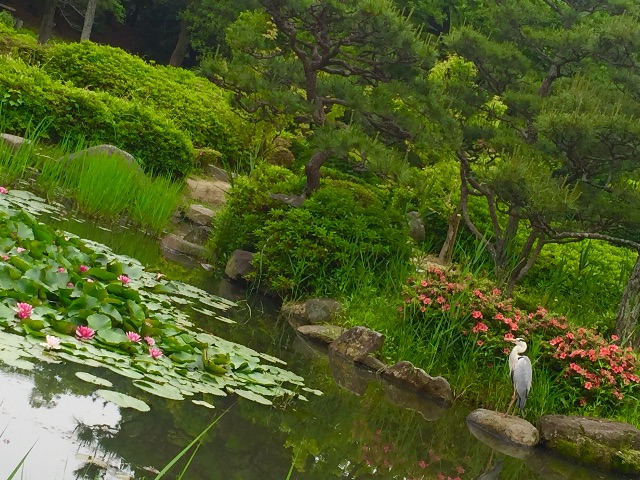f:id:ssachiko:20150525135457j:image f:id:ssachiko:20150525135457j:image