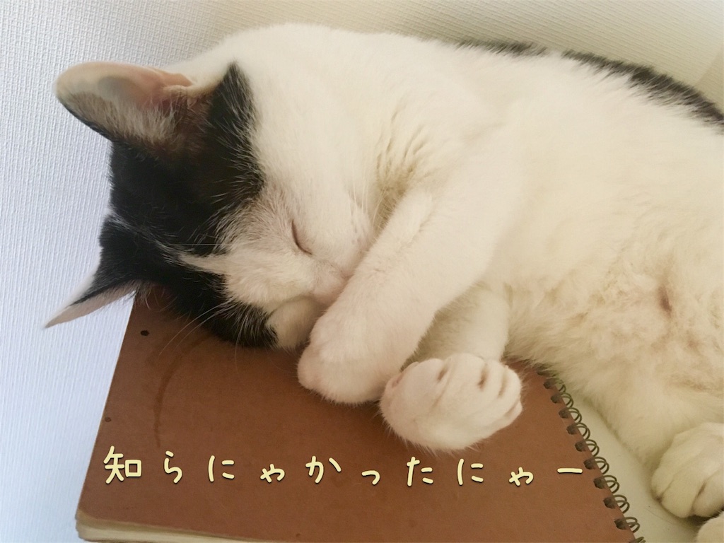 f:id:ssachiko:20160718154018j:image f:id:ssachiko:20160718154018j:image
