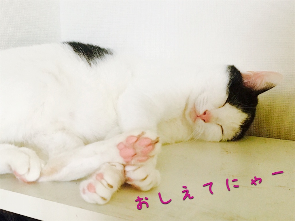 f:id:ssachiko:20160718155703j:image f:id:ssachiko:20160718155703j:image
