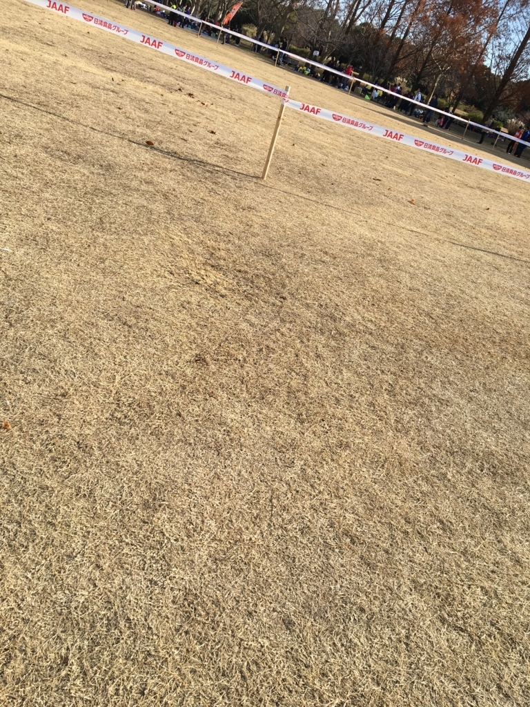 f:id:ssachiko:20171210224443j:plain