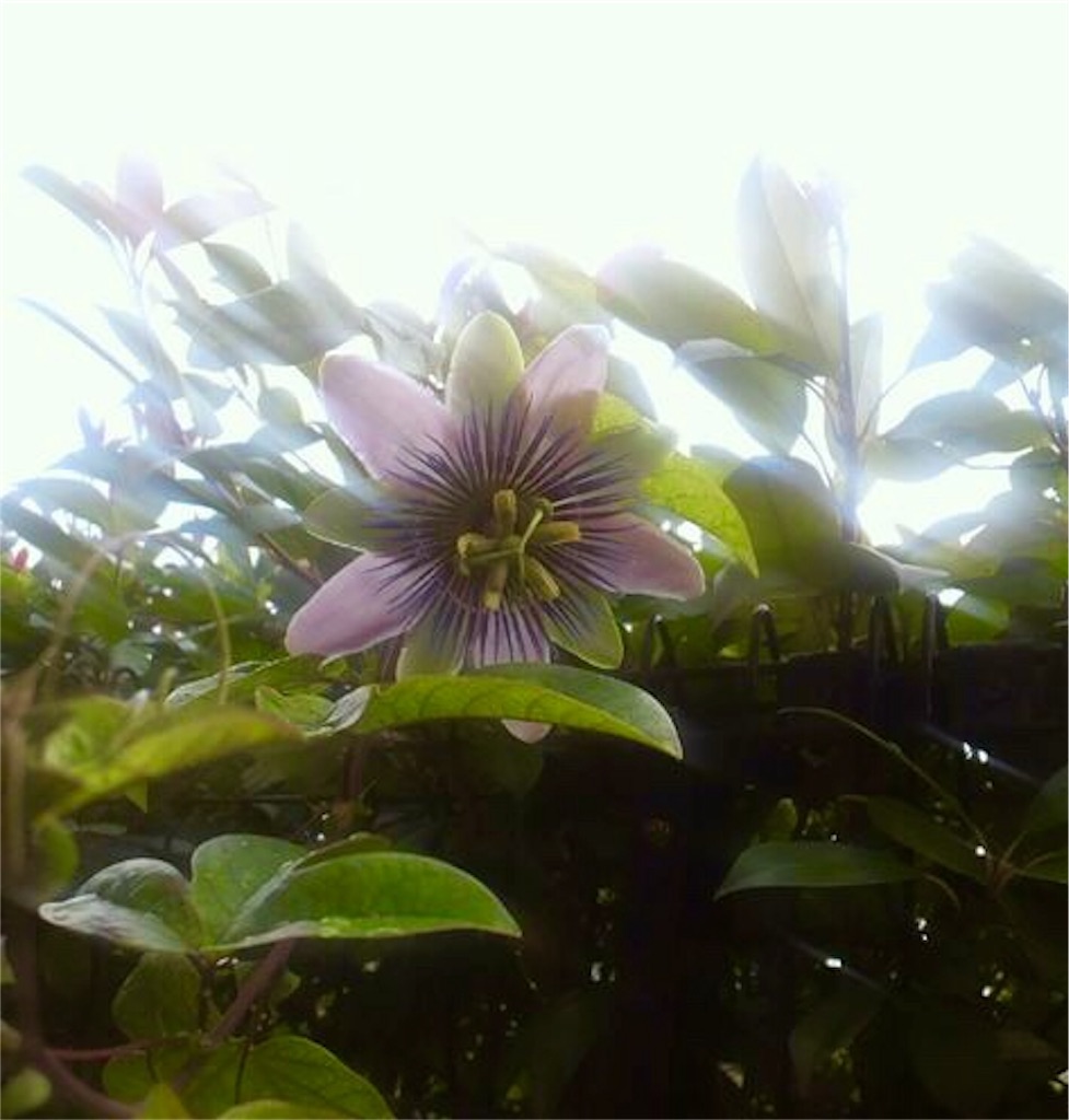 f:id:ssachiko:20180225153613j:image f:id:ssachiko:20180225153613j:image