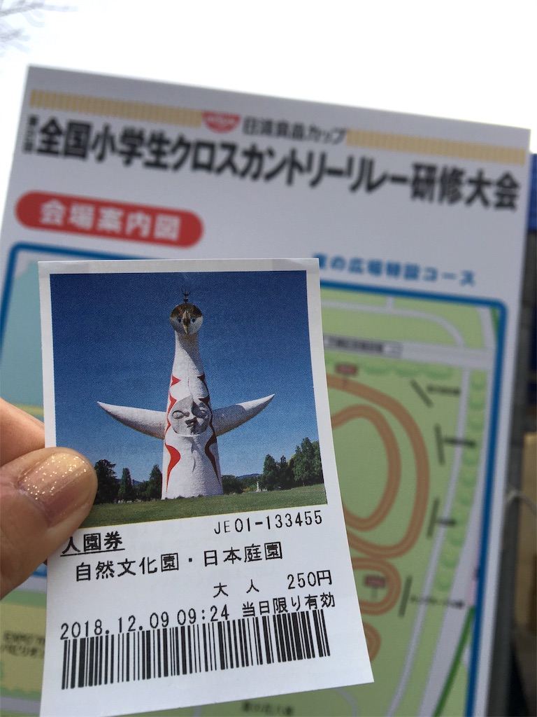 f:id:ssachiko:20181210210811j:image