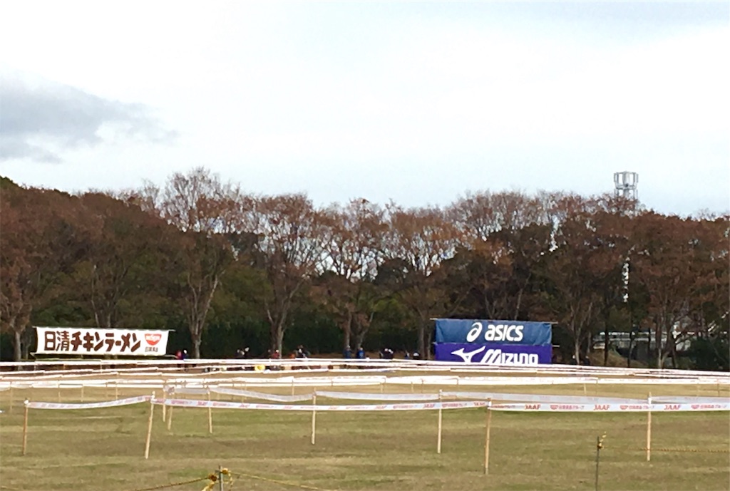 f:id:ssachiko:20181210210822j:image