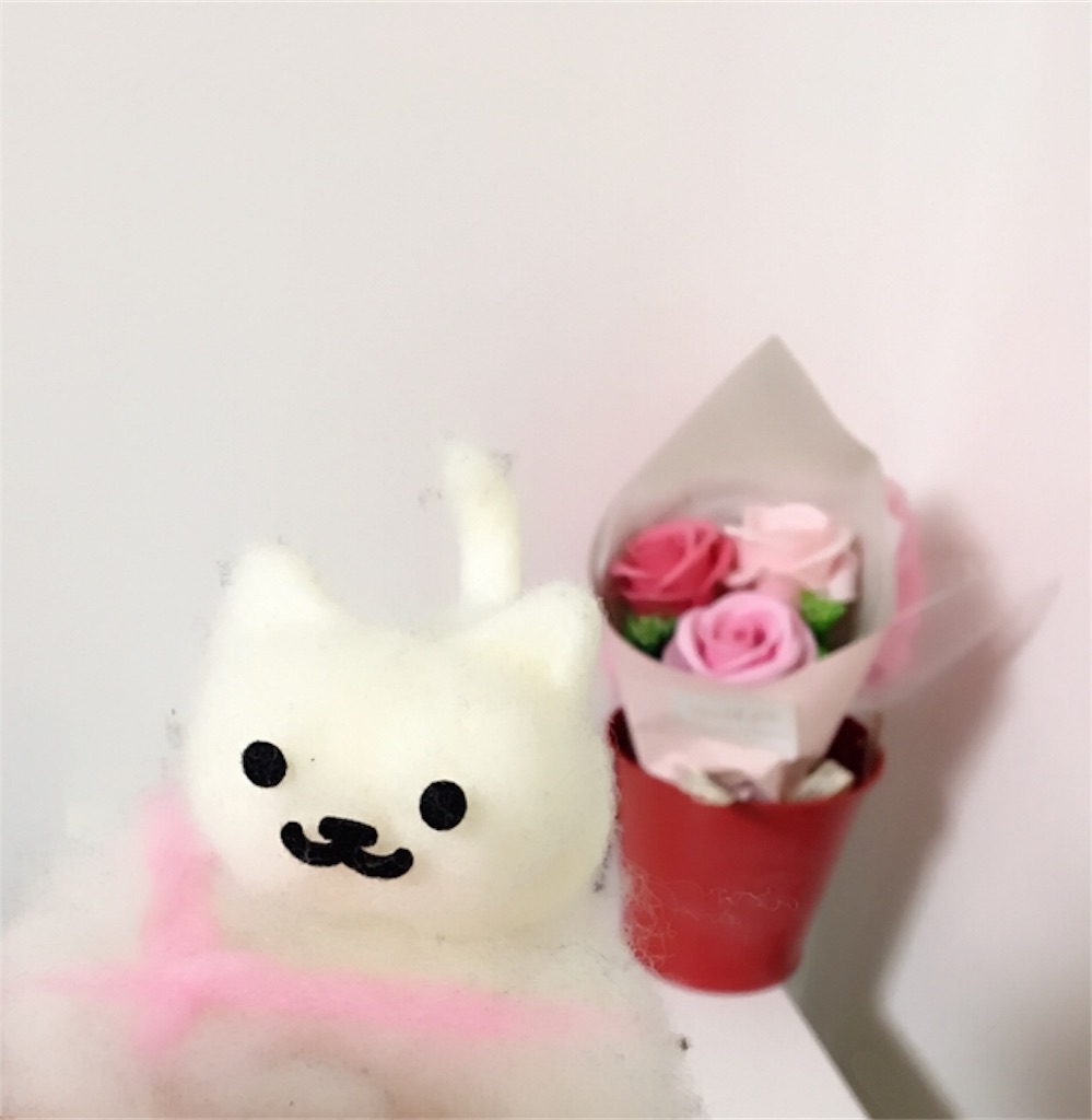 f:id:ssachiko:20190208103532j:image