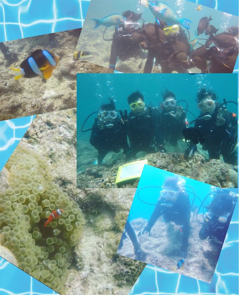 f:id:ssachiko:20190630204030j:image f:id:ssachiko:20190630204030j:image