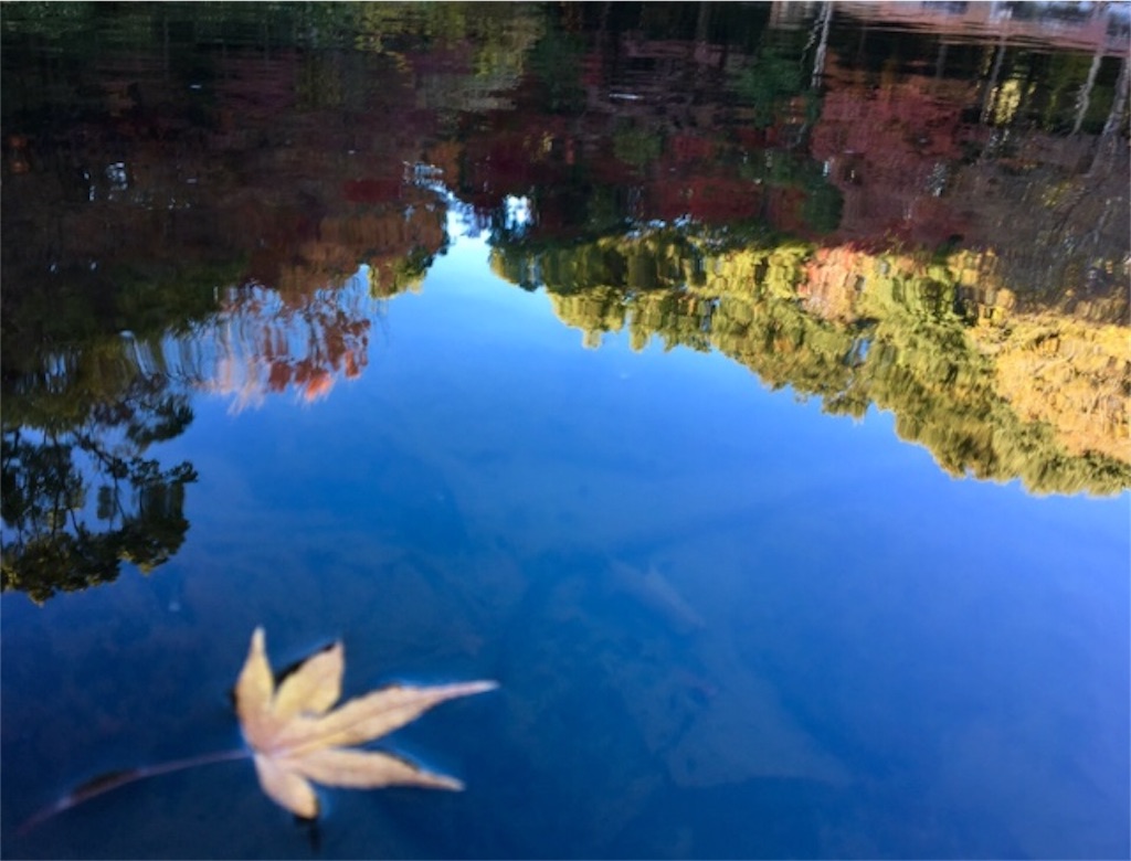 f:id:ssachiko:20200131220935j:image f:id:ssachiko:20200131220935j:image