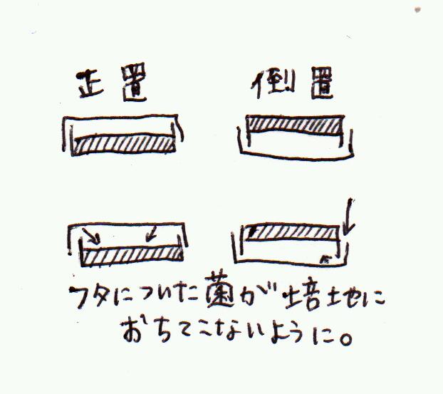 f:id:ssca:20160826190420j:plain f:id:ssca:20160826190420j:plain